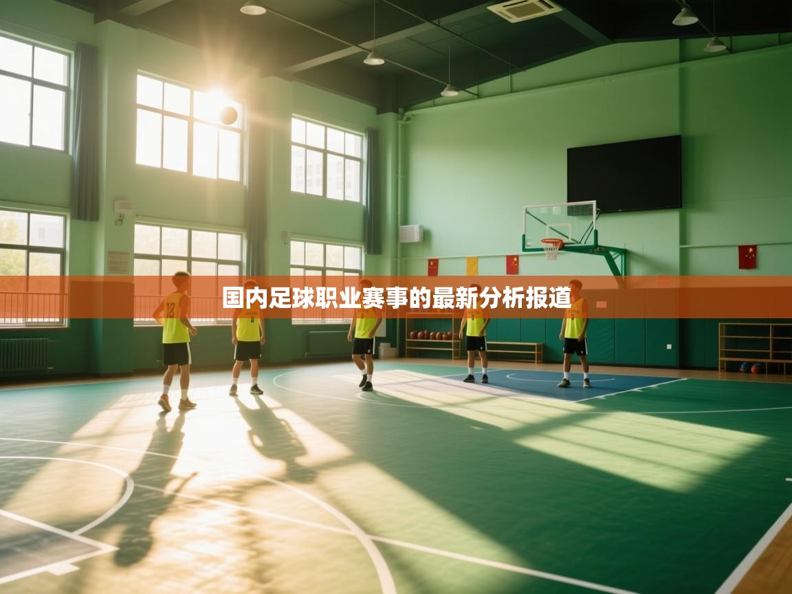 国内足球职业赛事的最新分析报道  第2张