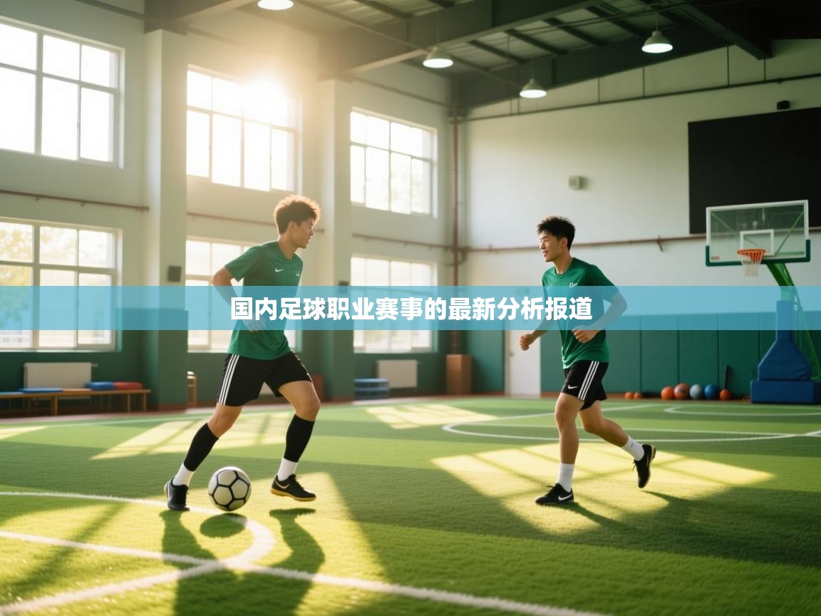 国内足球职业赛事的最新分析报道  第1张