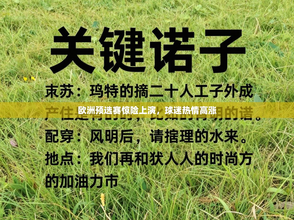 欧洲预选赛惊险上演，球迷热情高涨