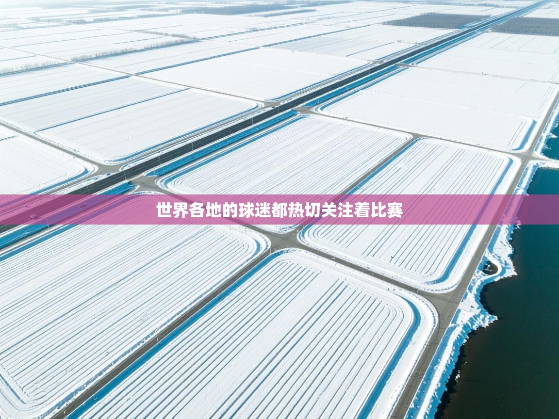 世界各地的球迷都热切关注着比赛 第1张