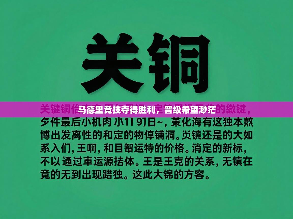马德里竞技夺得胜利，晋级希望渺茫  第2张