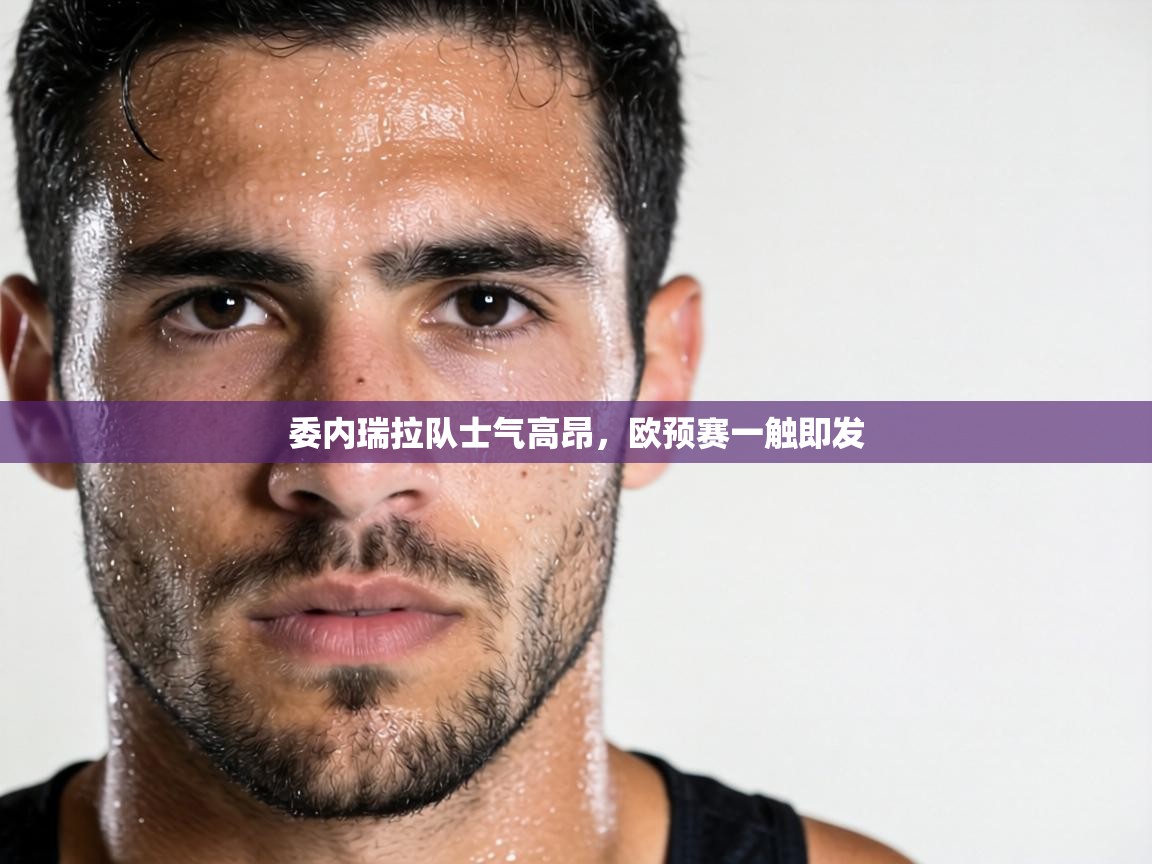 委内瑞拉队士气高昂，欧预赛一触即发  第1张