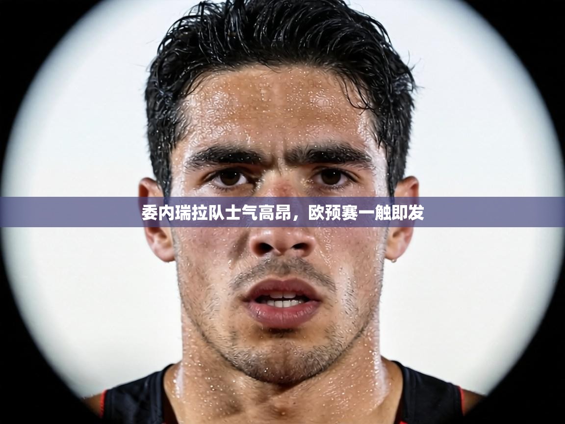 委内瑞拉队士气高昂，欧预赛一触即发  第2张