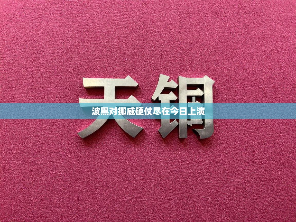 波黑对挪威硬仗尽在今日上演 第1张