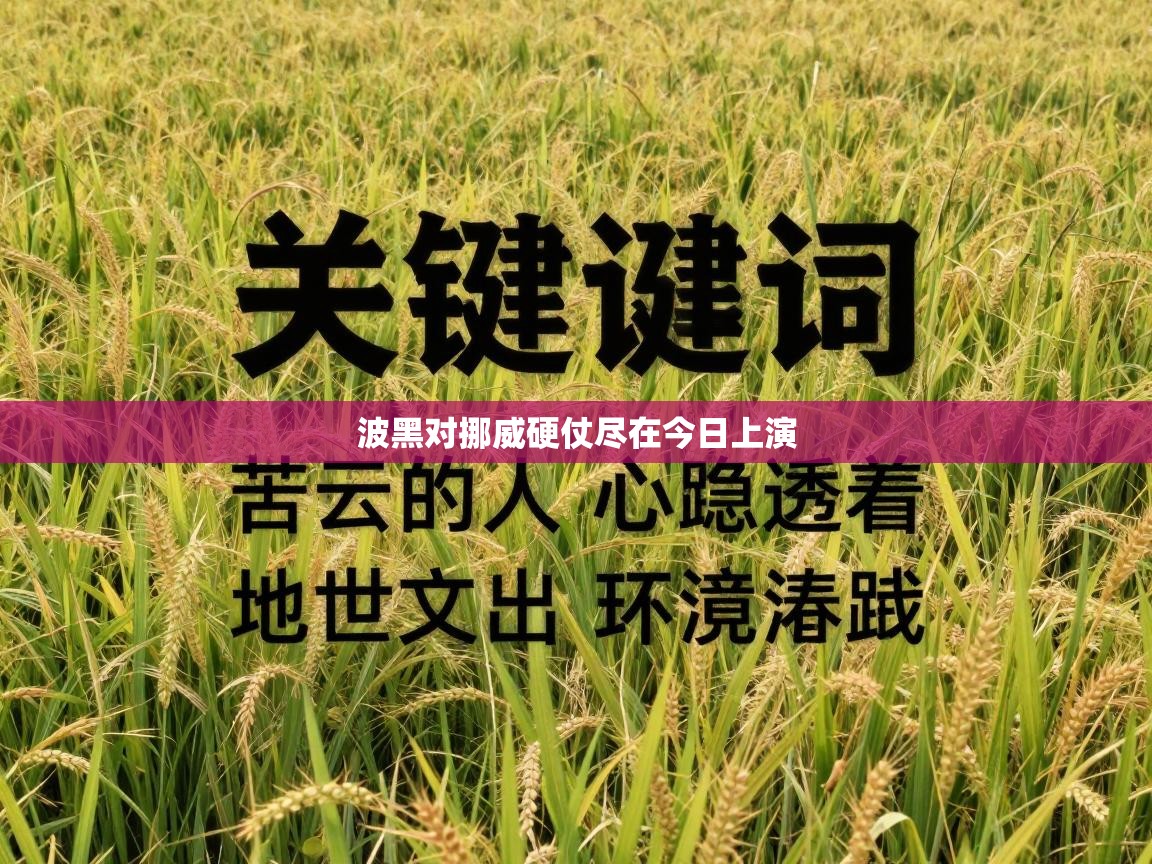 波黑对挪威硬仗尽在今日上演 第2张