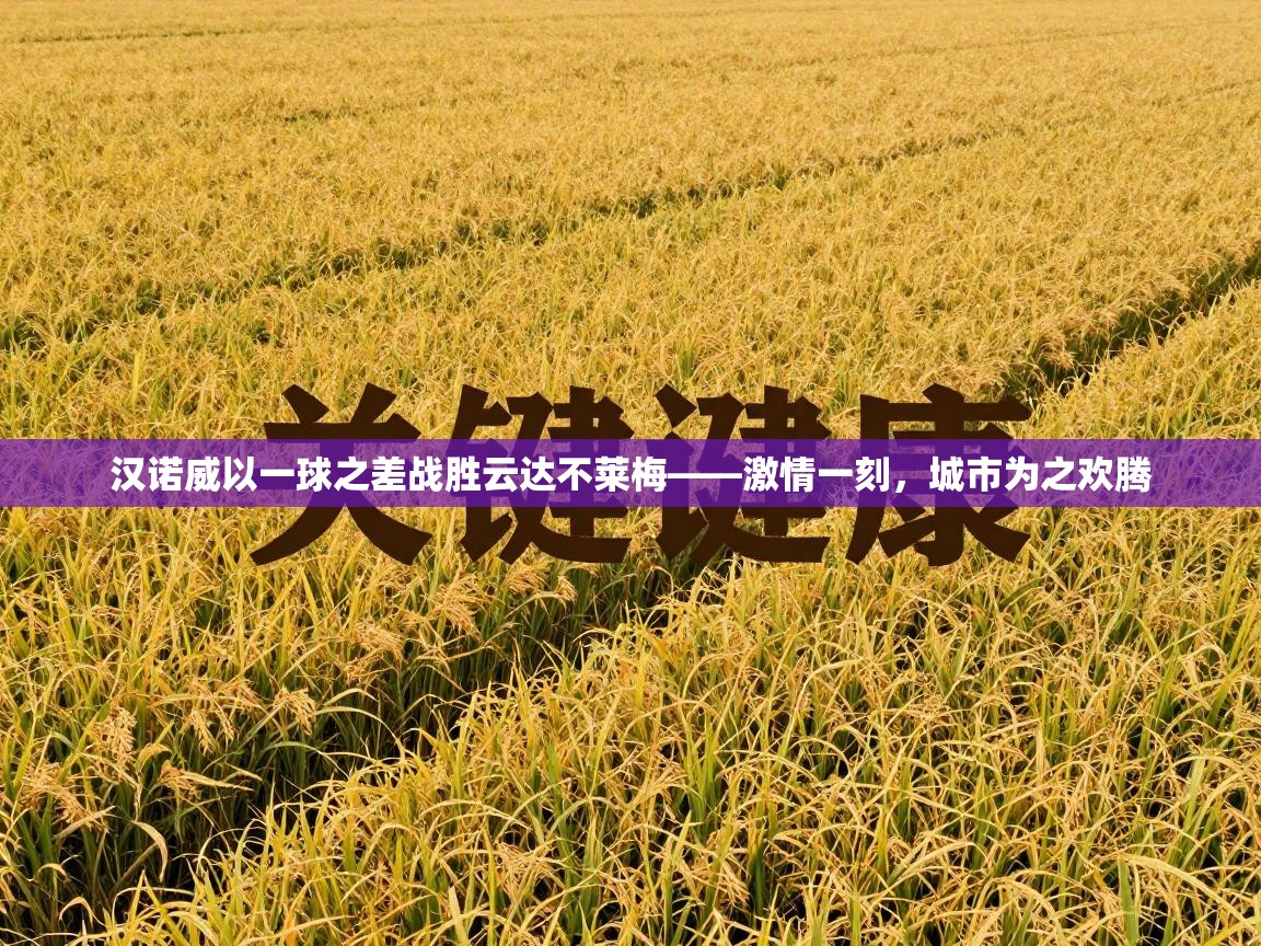 汉诺威以一球之差战胜云达不莱梅——激情一刻，城市为之欢腾  第2张